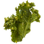Crunchy Kale: Cheeze It Up