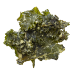 Crunchy Kale Probiotic Bundle